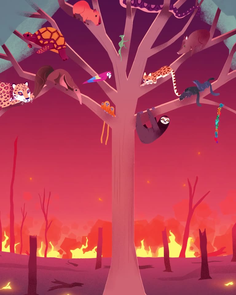 CraveFX - Amazon Rainforest (2019)