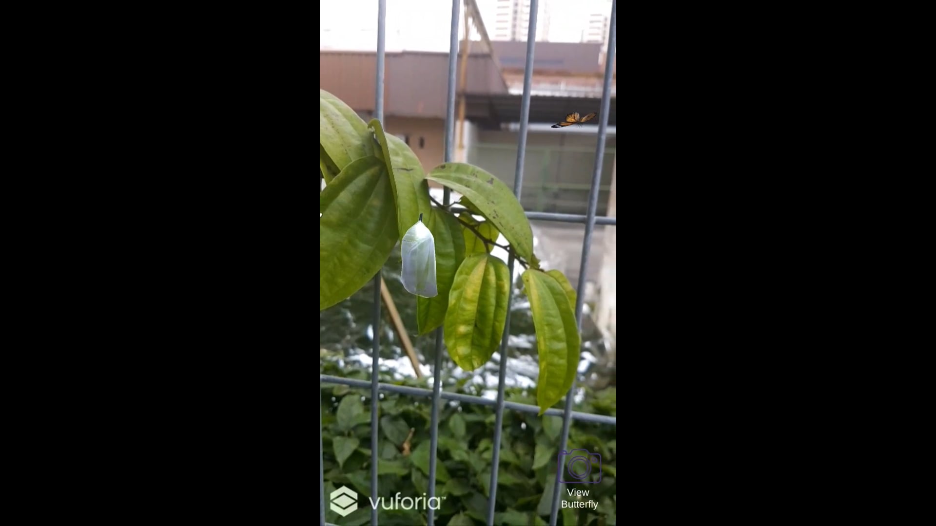 Changi Airport AR Full Virtual Tour