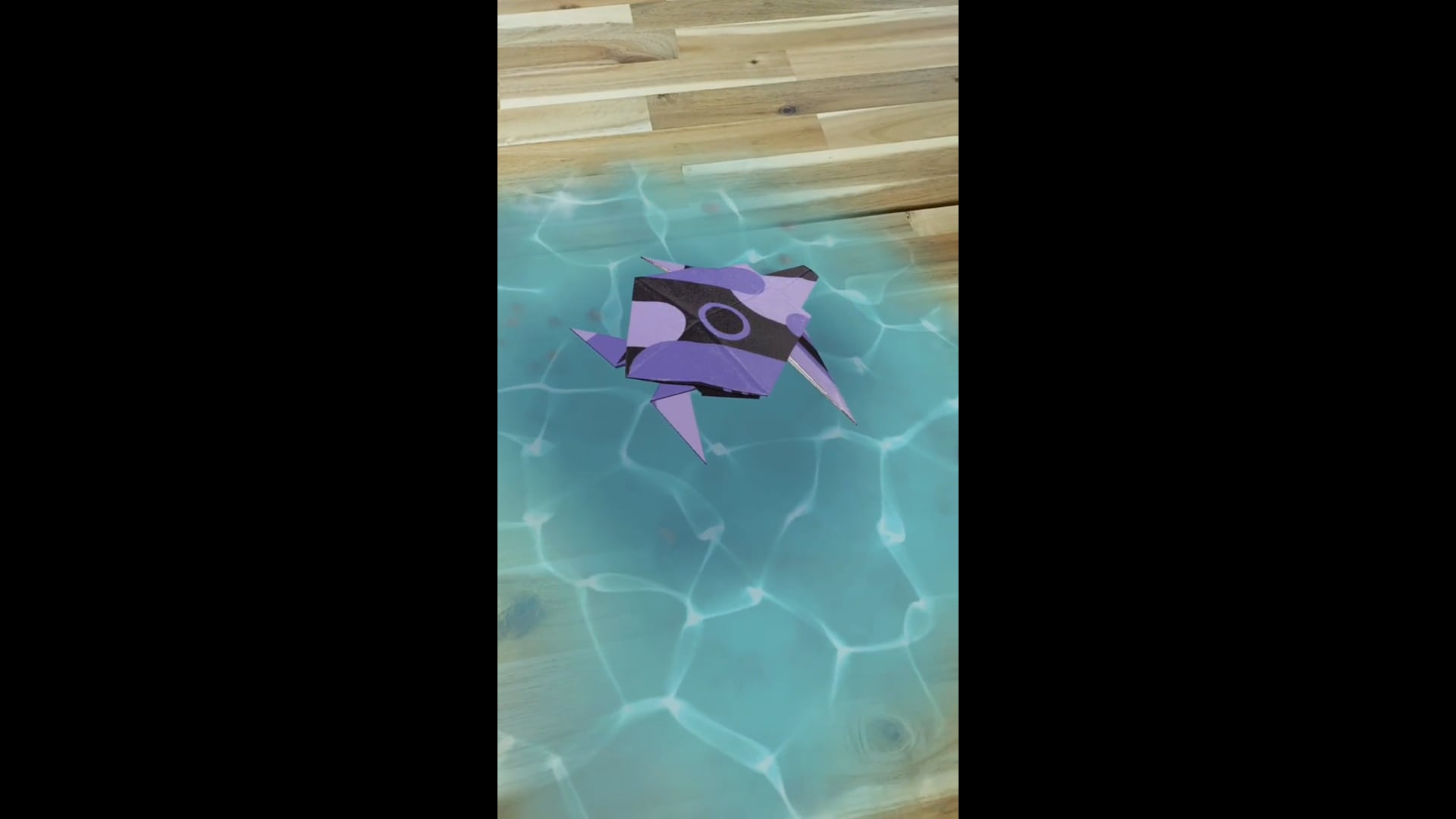 GXS Turtle Adoption AR Filter