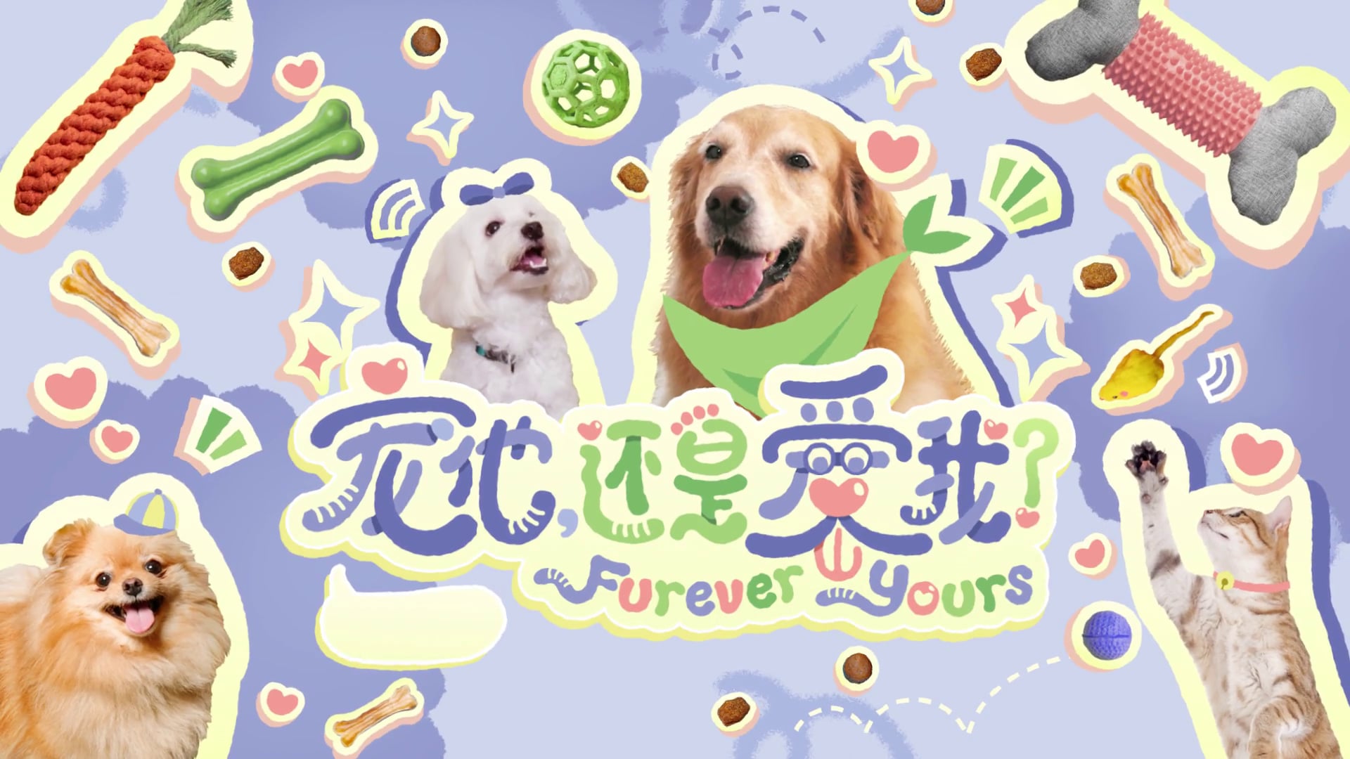 Furever Yours《宠他，还是爱我》Opener